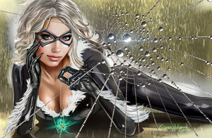 Black Cat - Caught in her Web - High Quality 11 x 17
